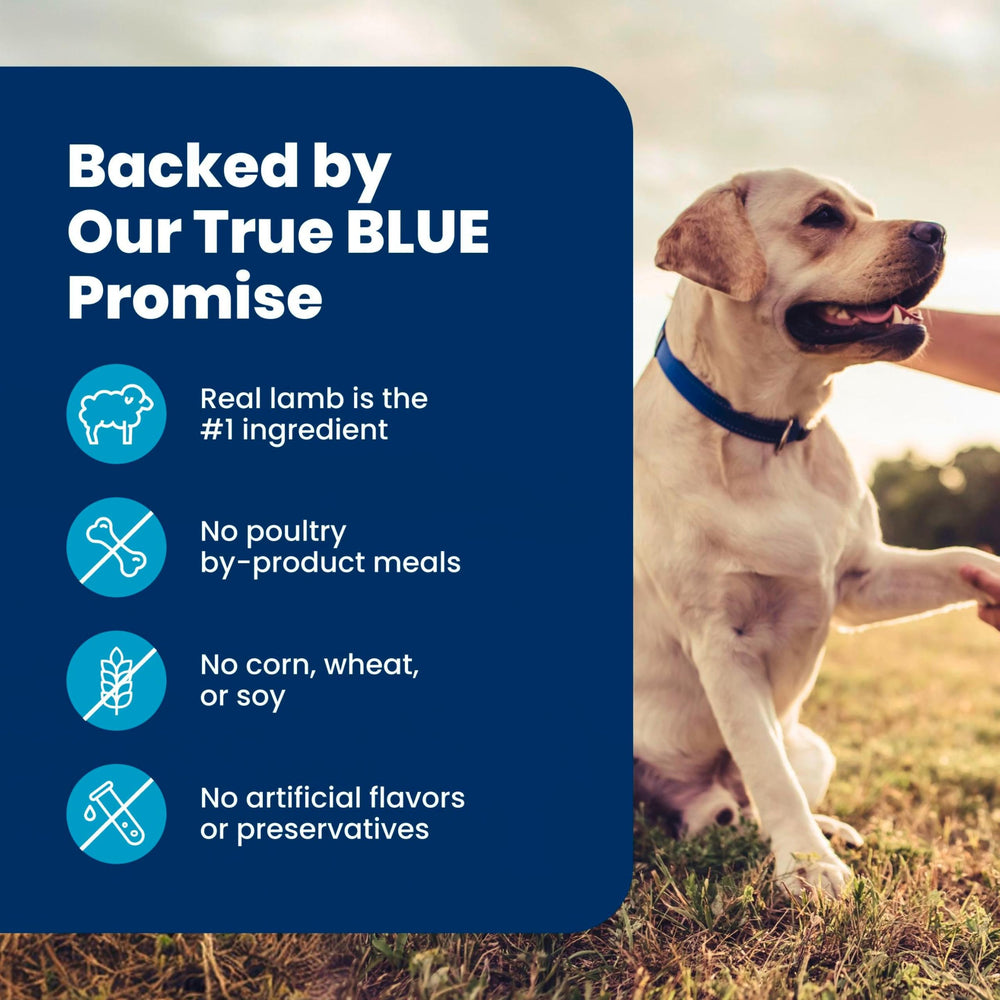 Blue Buffalo étiquette ingrédients et informations nutritionnelles lisibles