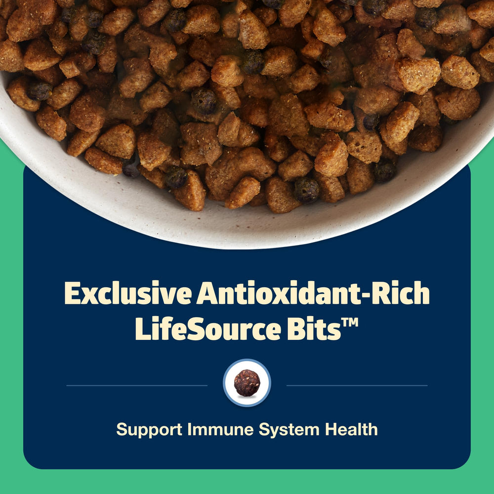 Blue Buffalo détail de la croquette montrant consistance pour santé dentaire