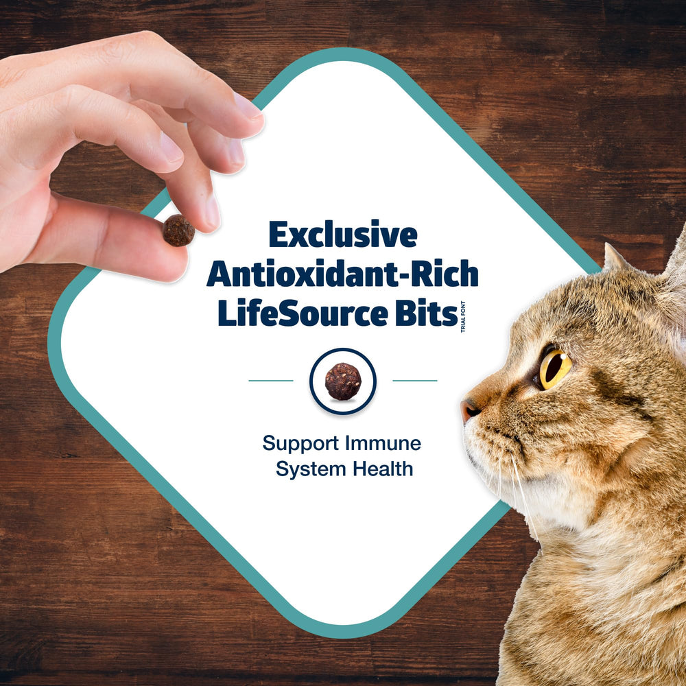 Blue Buffalo zoom sur LifeSource Bits indiquant apport en antioxydants ciblés