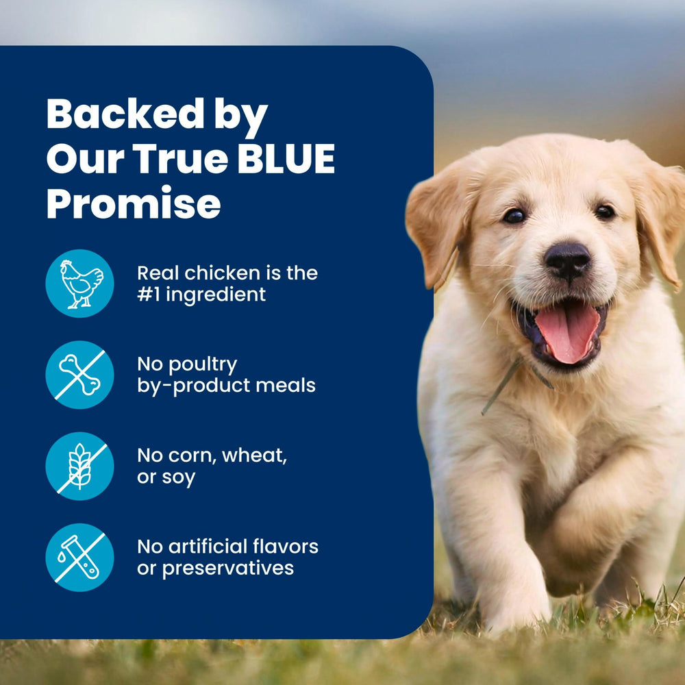 Blue Buffalo grains : riz brun, orge, avoine pour digestion douce et énergie