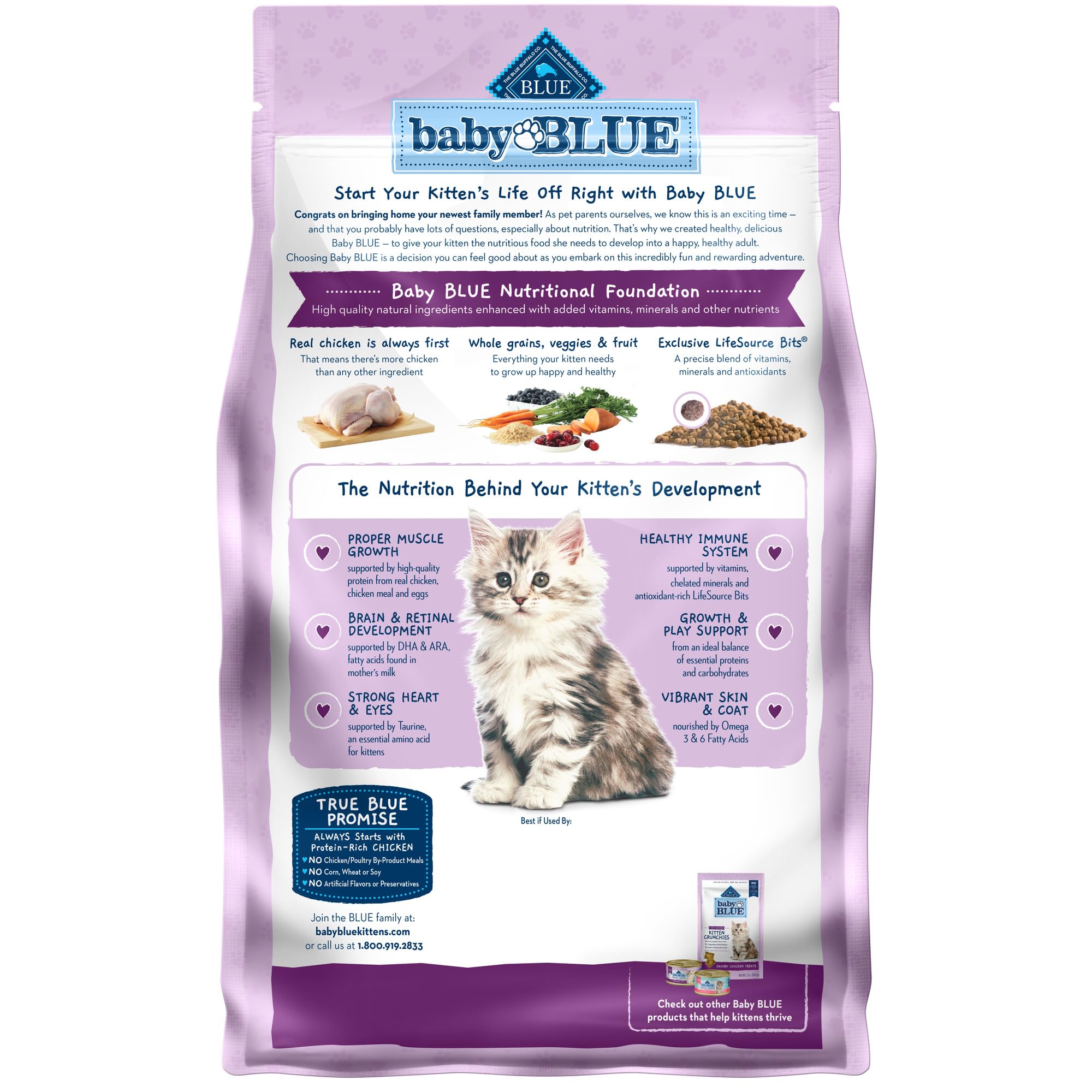 Blue Buffalo gros plan sur la texture des croquettes favorisant la mastication