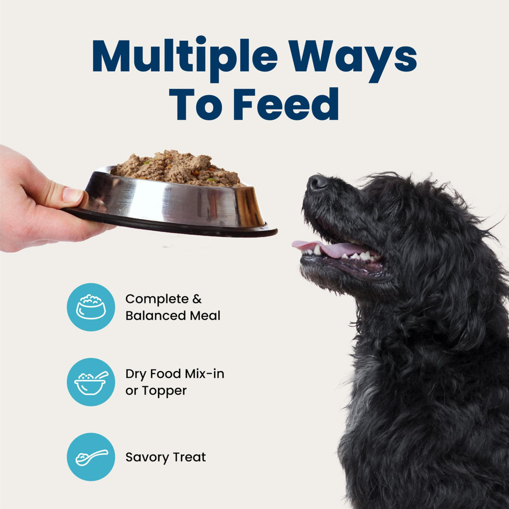 Scène de repas familial avec chien et Blue Buffalo pour partage convivial