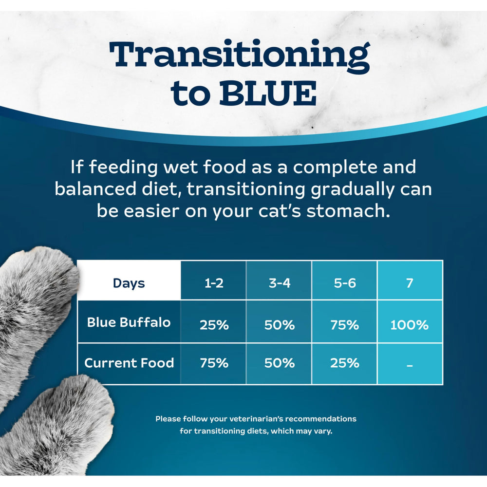 Blue Buffalo chat en train de manger en situation réelle pour acceptation