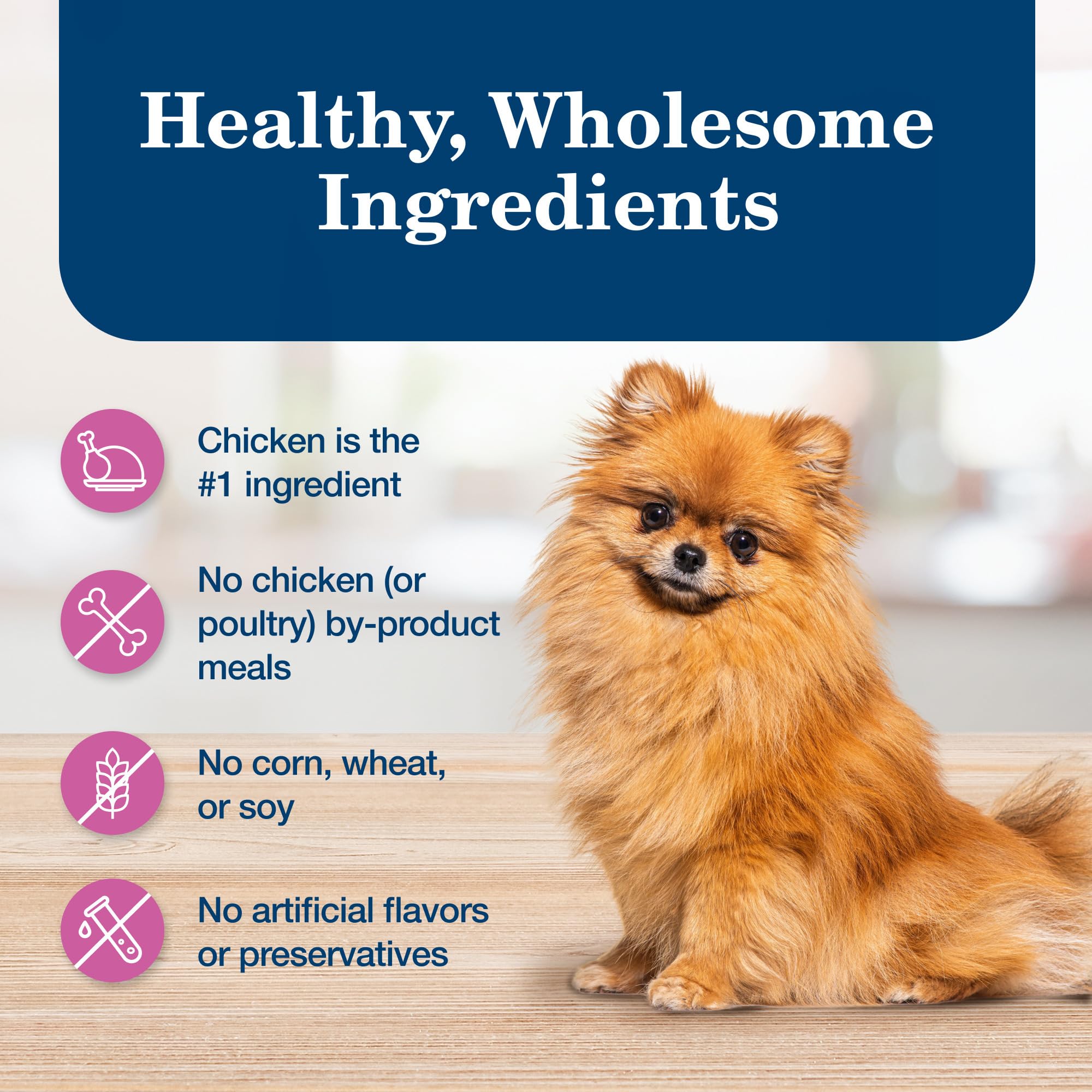 Blue Buffalo portion servie dans gamelle pour repas complet petit chien