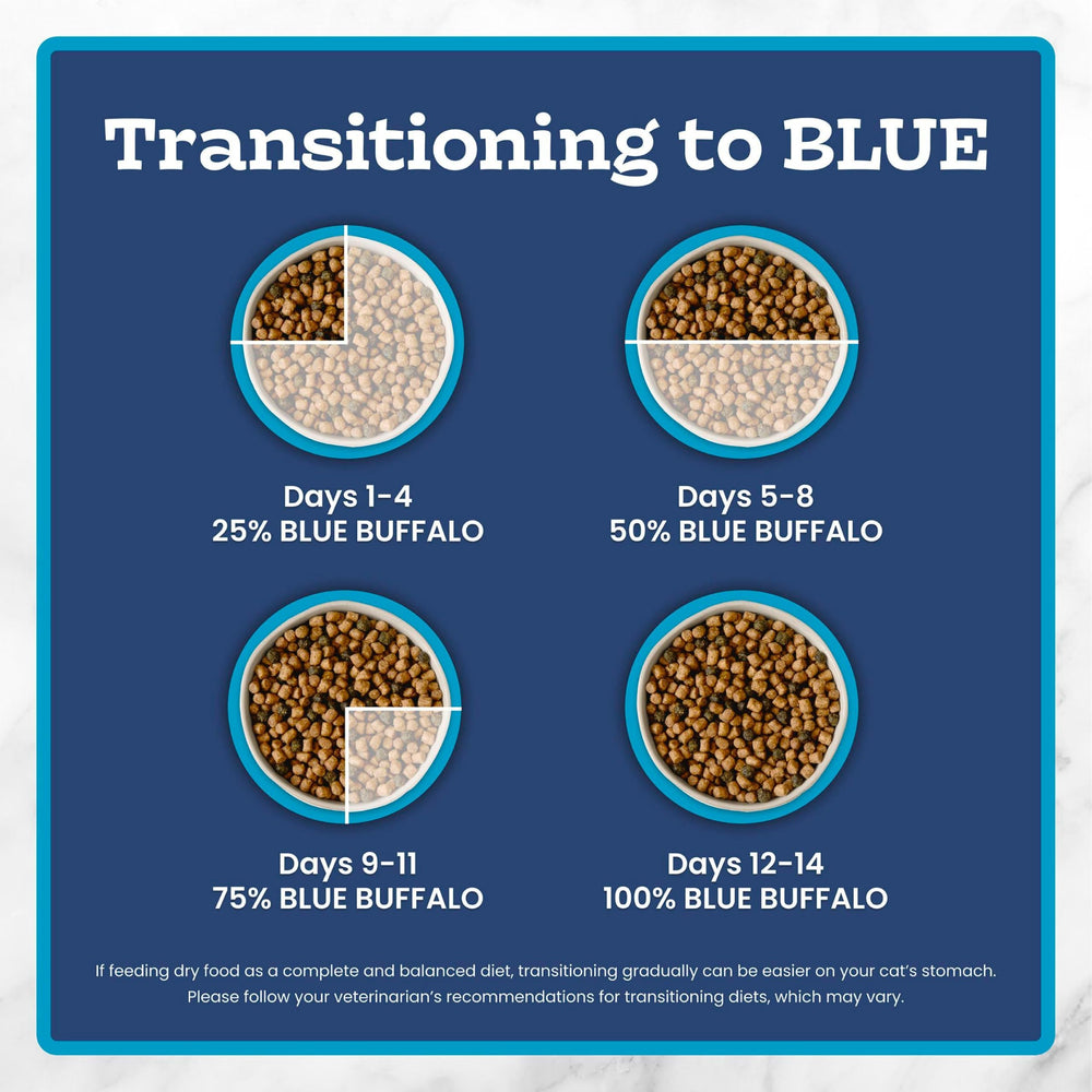 Blue Buffalo chat mangeant en style de vie, appétit stimulé et satisfaction