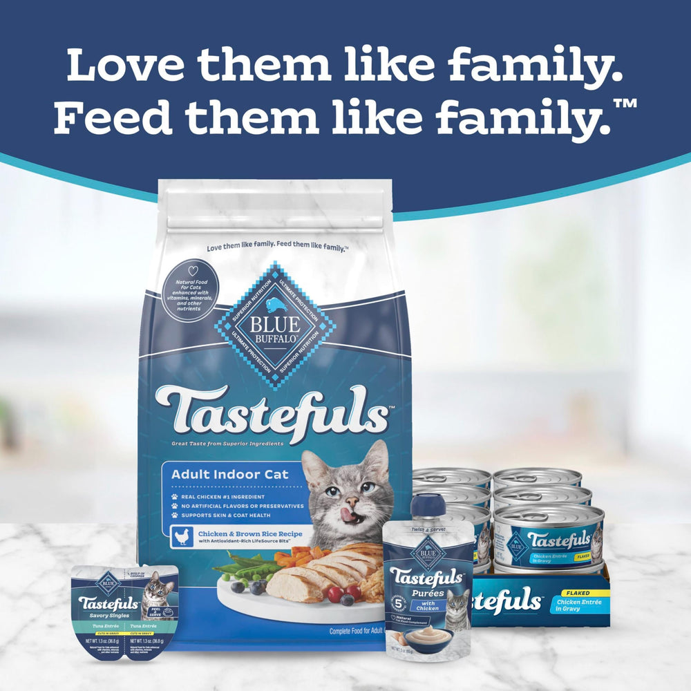 Blue Buffalo chat en train de manger pour hydration et plaisir