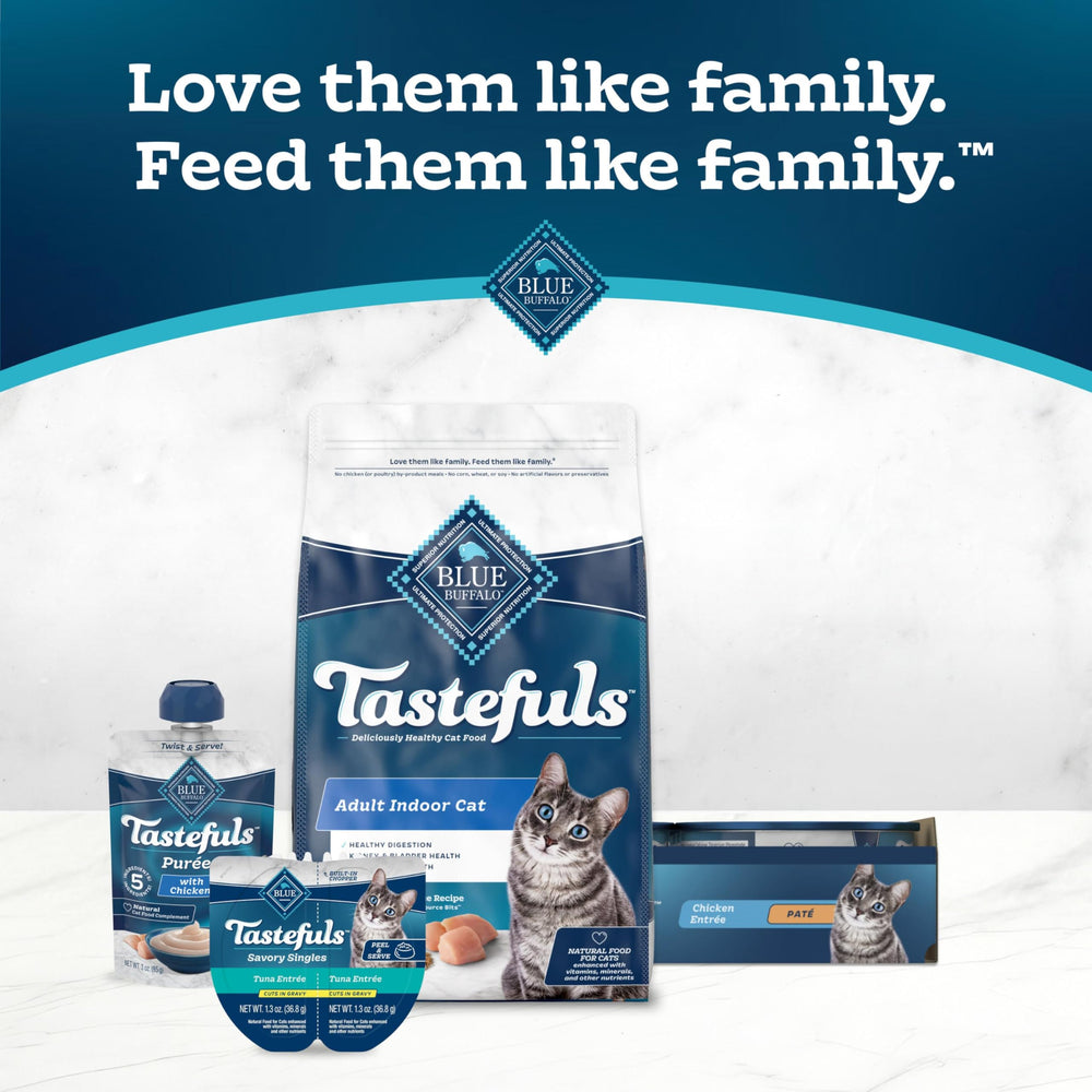 Blue Buffalo chat mange la pâté, acceptation élevée du produit