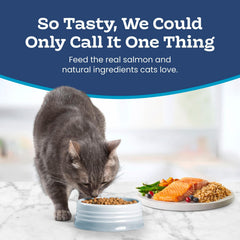 Blue Buffalo croquette en gros plan montrant texture et appétence pour chat