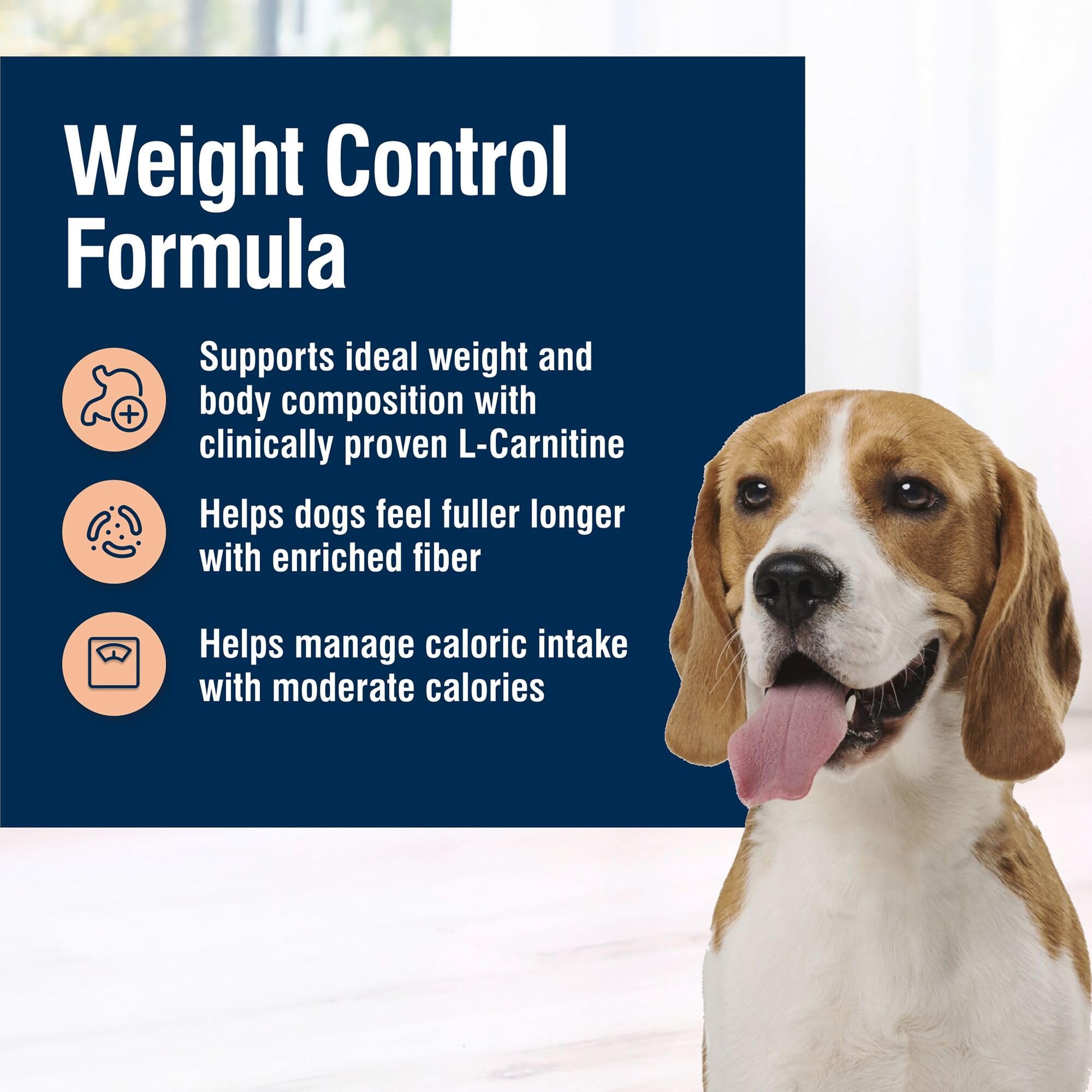Blue Buffalo chien mangeant la recette Weight Control, favorise satiété