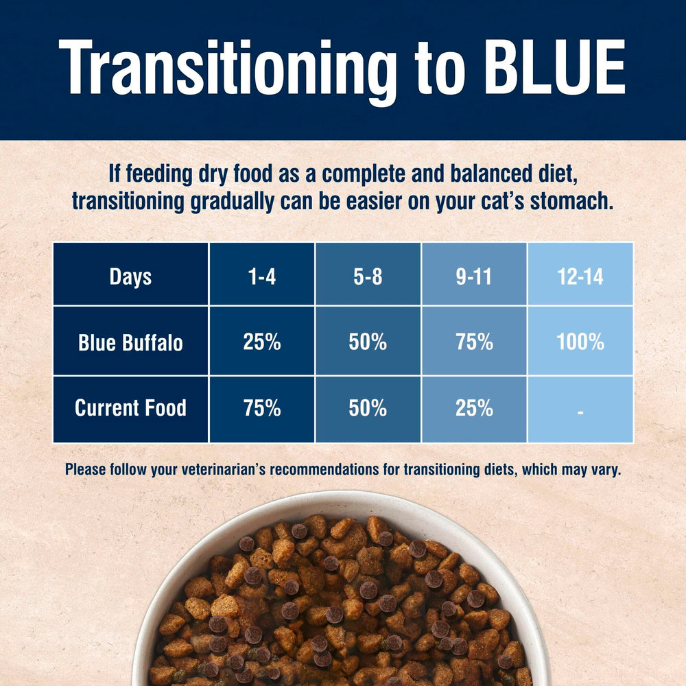 Main tenant croquette Blue Buffalo pour visualiser taille et facilité de mastication