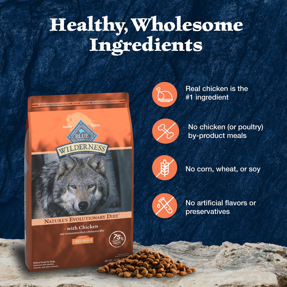 Blue Buffalo croquettes servies dans un bol pour appétence quotidienne