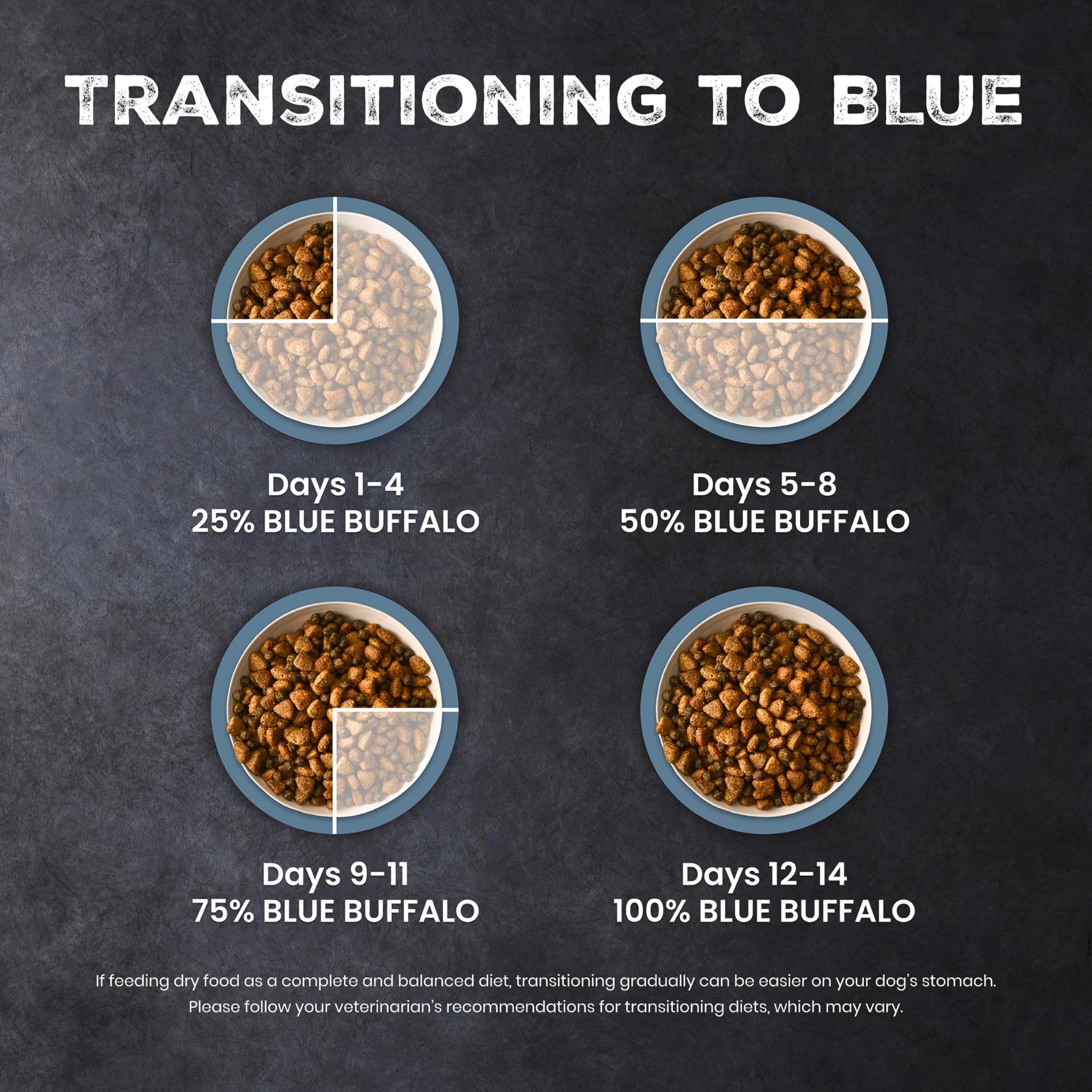 Blue Buffalo chien actif en extérieur illustrant l'énergie et la vitalité