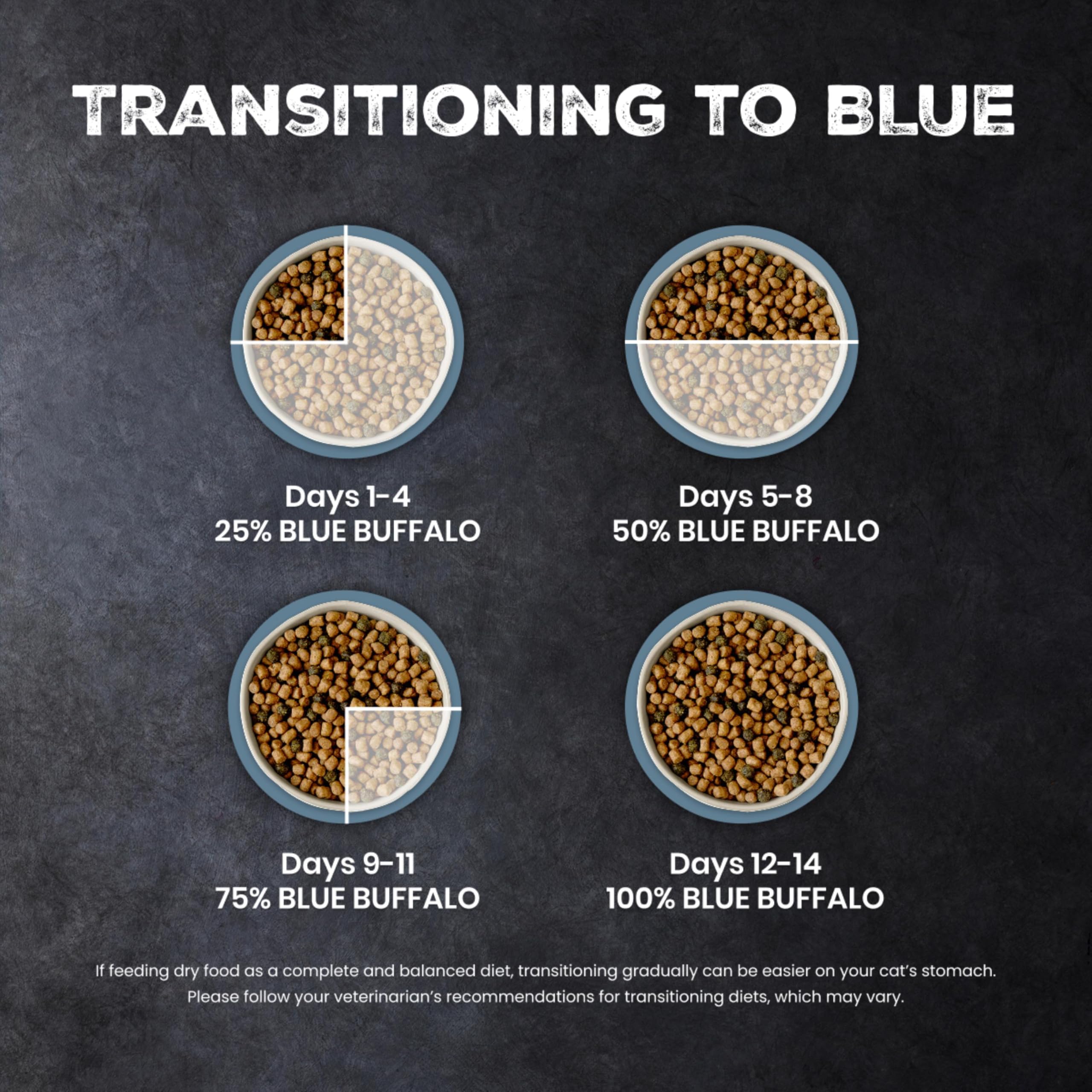 Blue Buffalo chat au pelage brillant après alimentation régulière