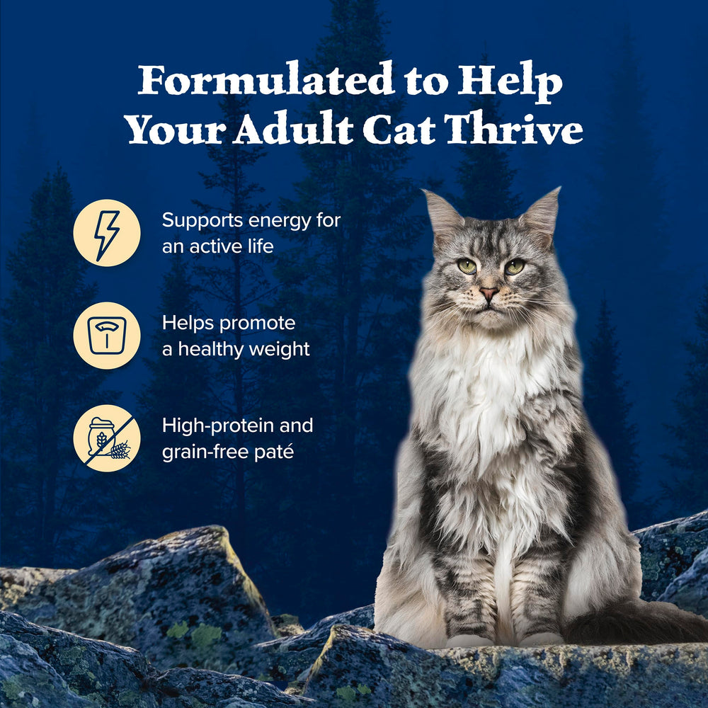 Blue Buffalo poulet et saumon servis dans une assiette attrayante pour appétit