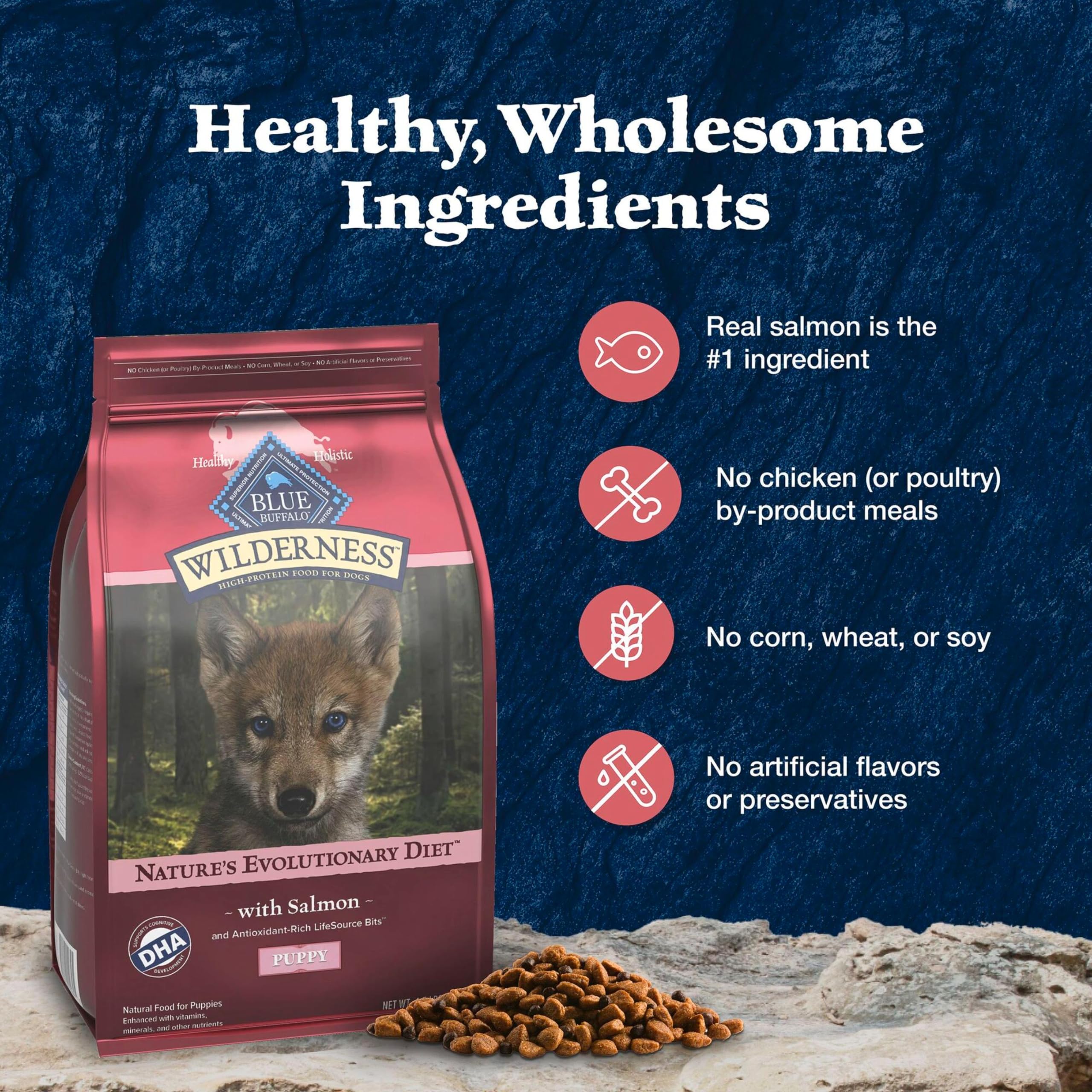 Blue Buffalo croquettes servies dans une gamelle montrant repas complet