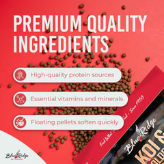 Blue Ridge Koi granulés flottant dans un étang illustrant alimentation contrôlée et visibilité