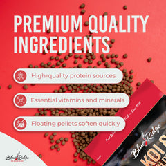 Blue Ridge koi prenant un pellet en surface pour contrôle portion