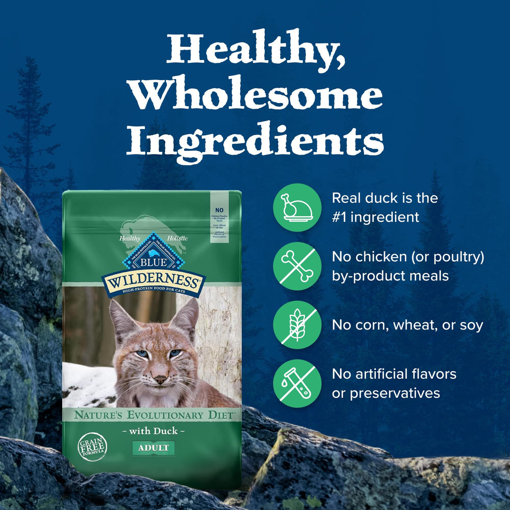Blue Wilderness chat mange en cuisine, favorise appétence et satisfaction alimentaire