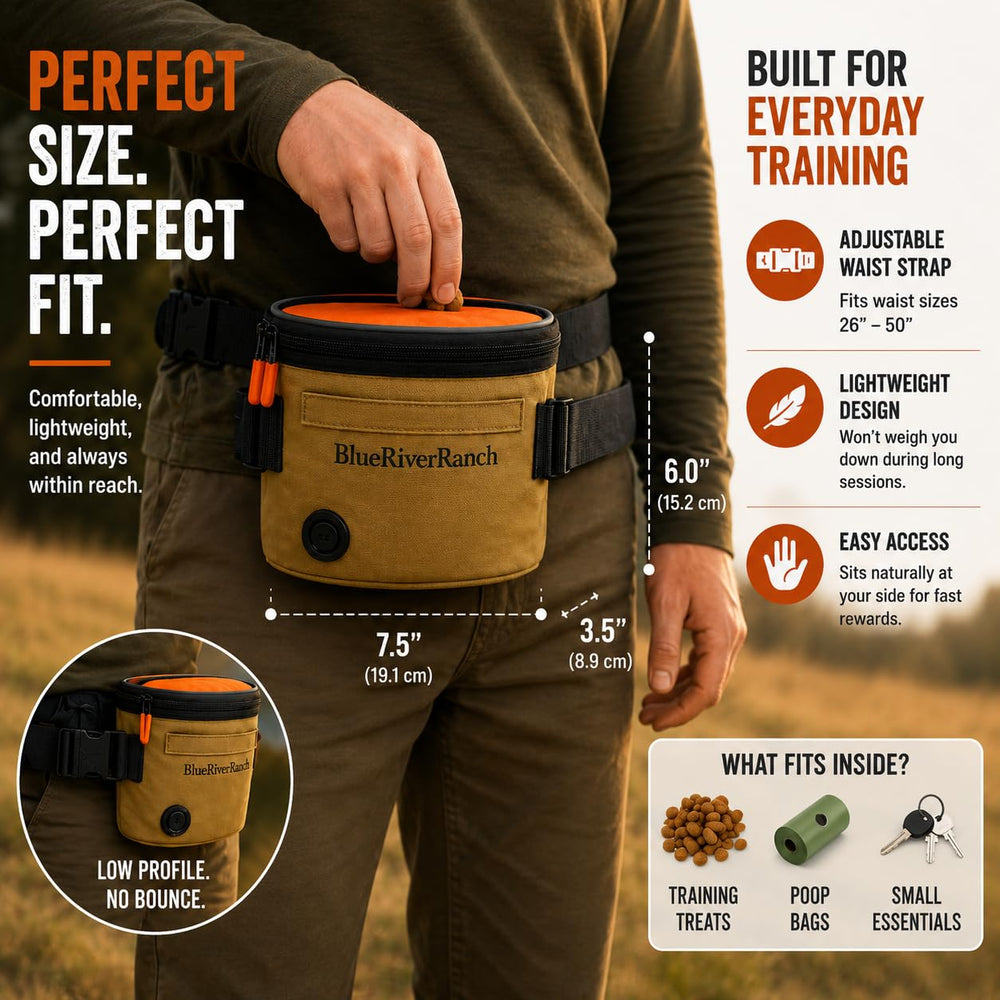 BlueRiverRanch ceinture ajustable large assurant maintien et confort