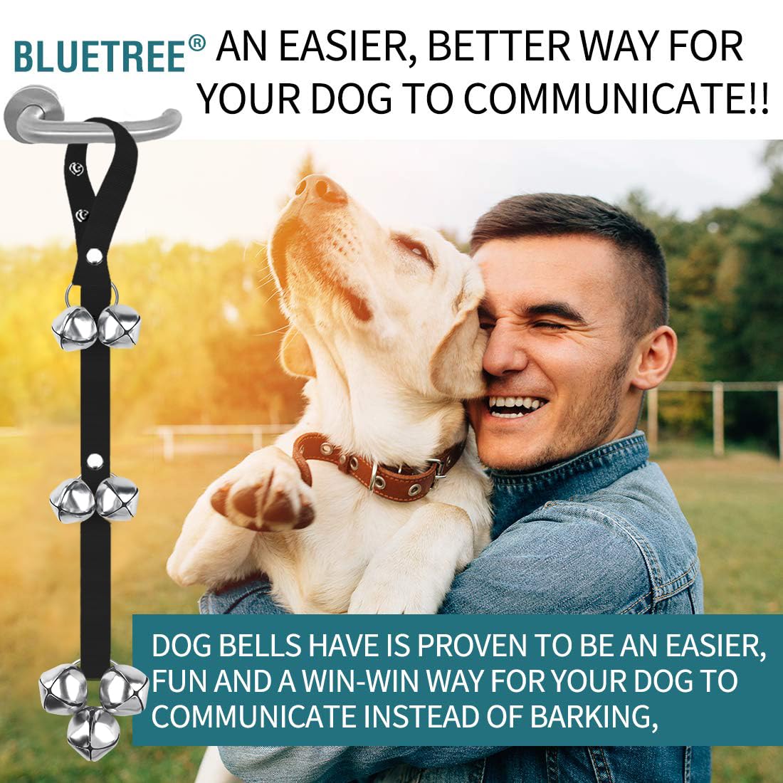 BLUETREE mise en scène intérieure montrant une routine quotidienne simplifiée