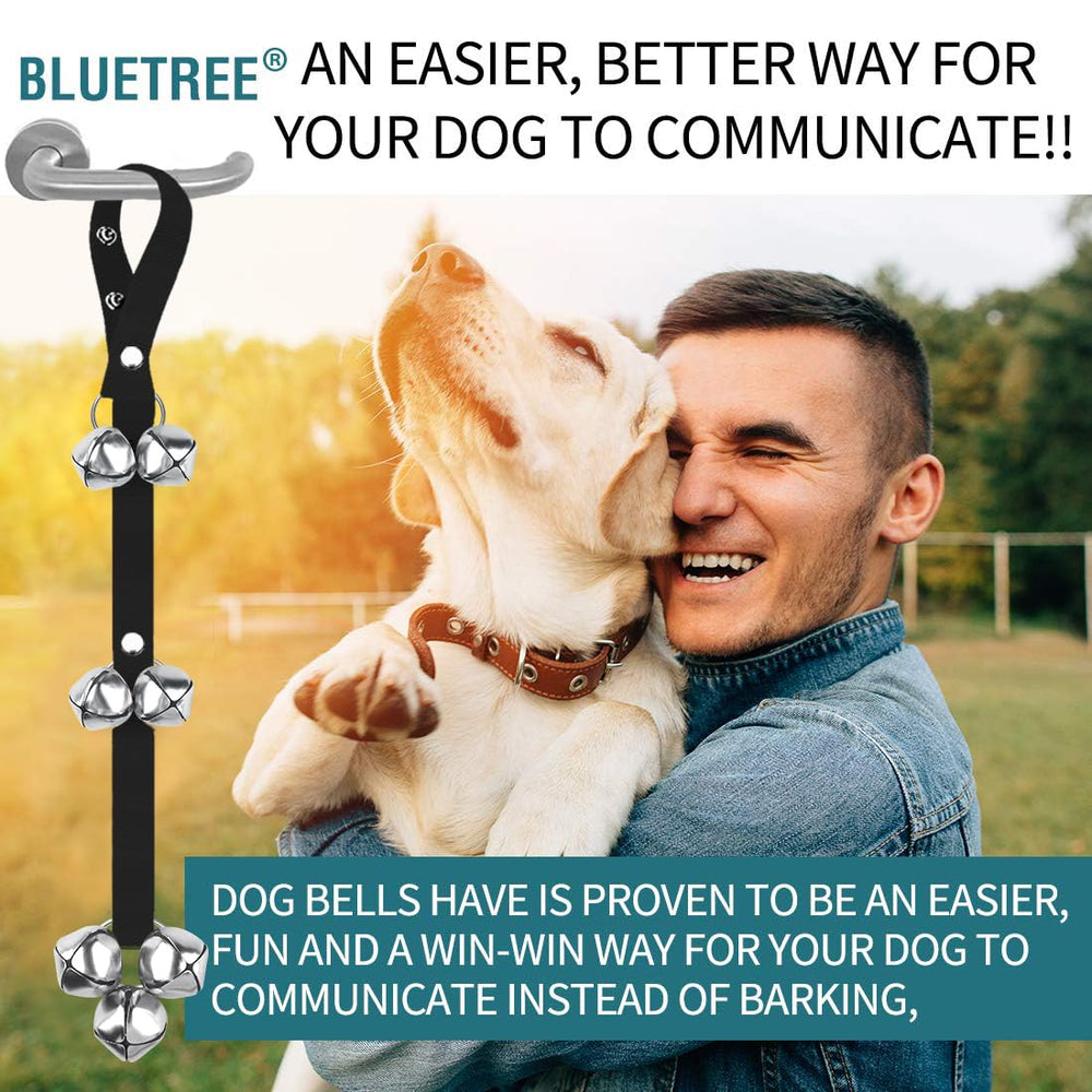 BLUETREE mise en scène intérieure montrant une routine quotidienne simplifiée