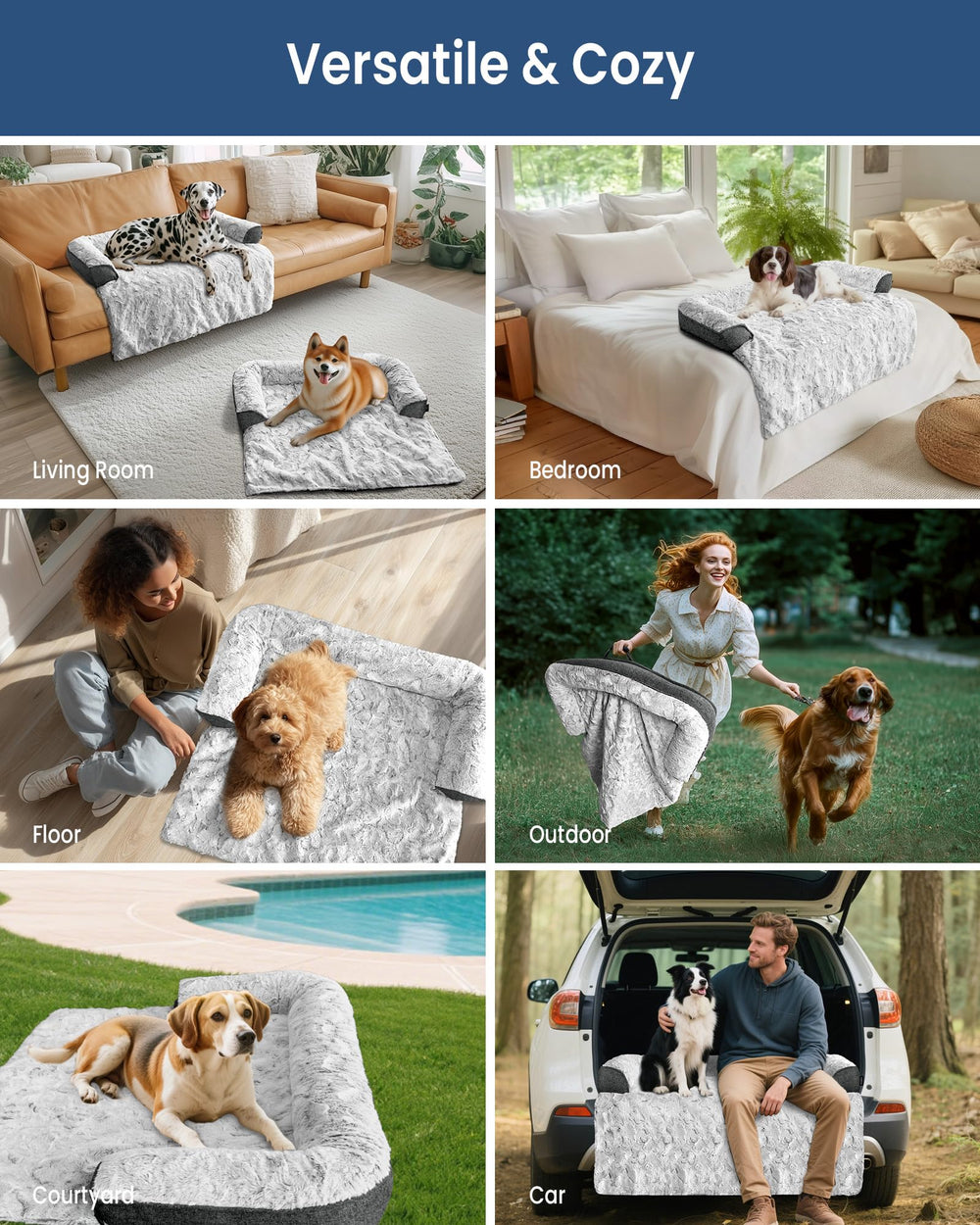 blunique chien installé sur canapé pour relaxation immédiate