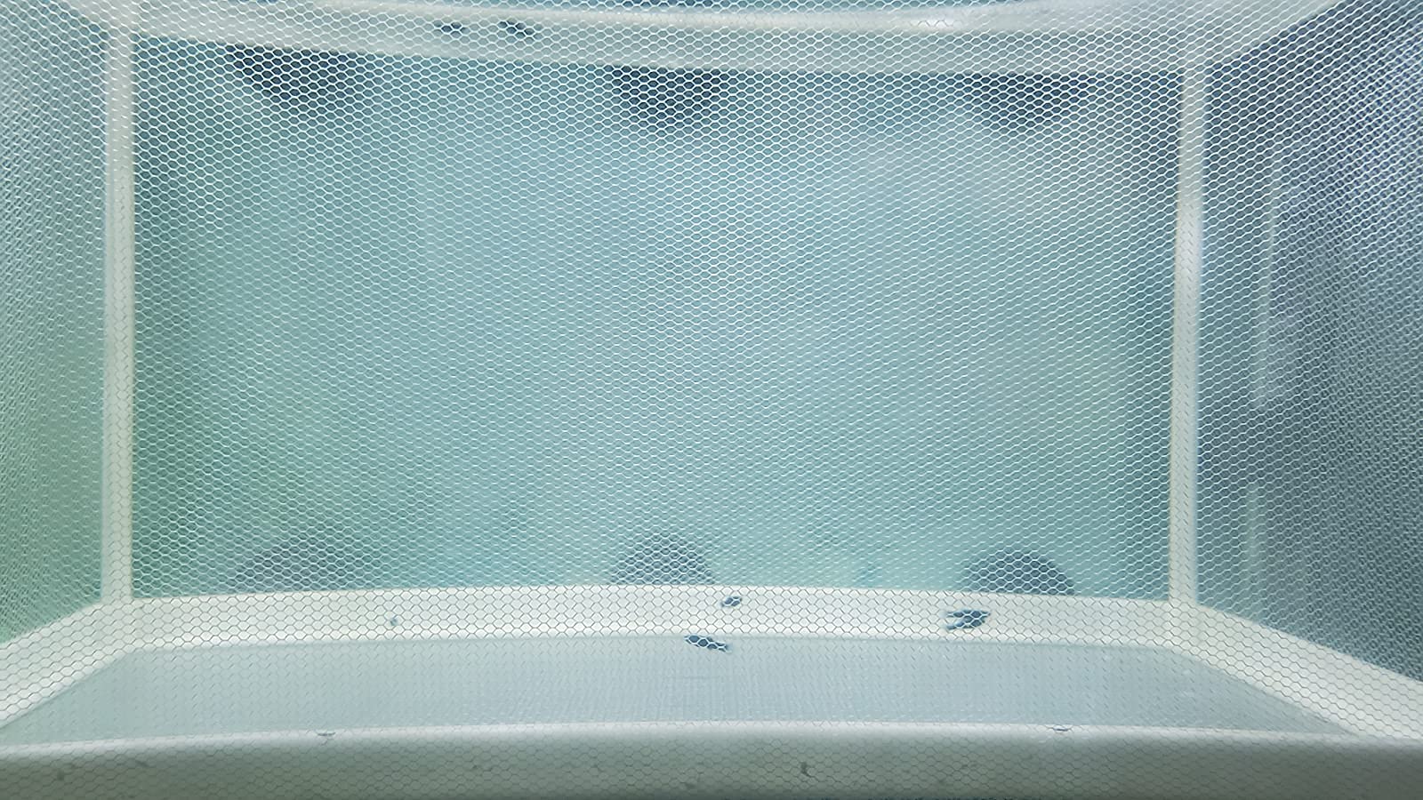 BMIROAMDFE filet installé dans aquarium protégeant alevins tout en laissant eau circuler