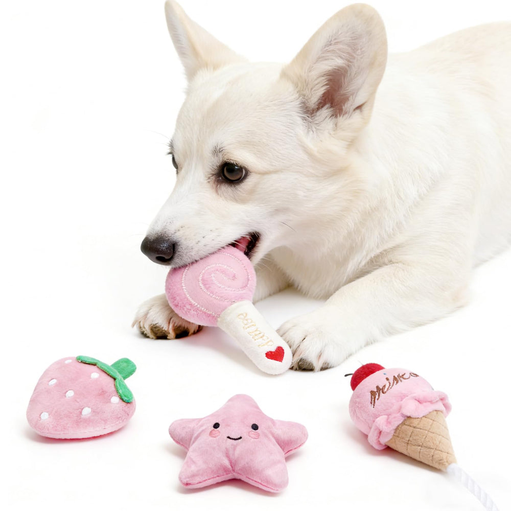 BMLTAQ sucette à côté d'une règle comparant taille sûre pour petits chiens