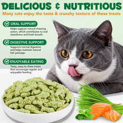 bnHUlMXw chat en train de manger un bâtonnet, plaisir et digestion