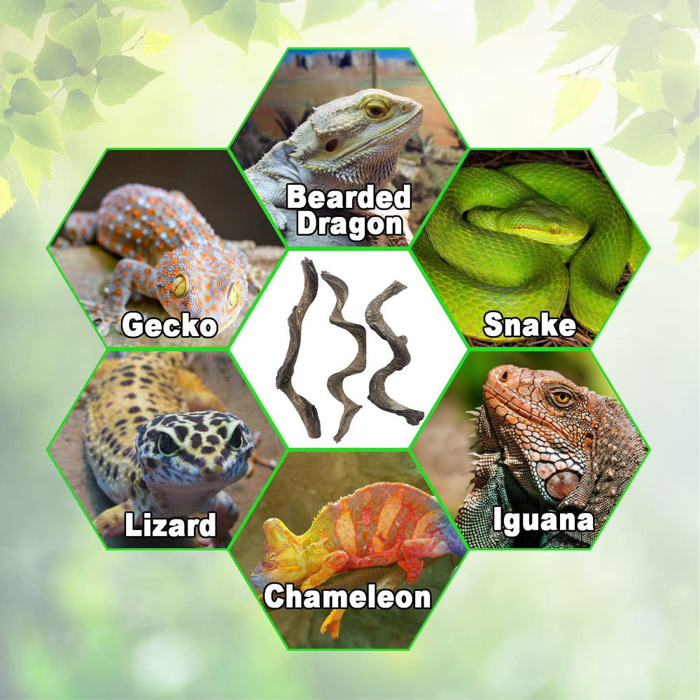 BNOSDM emballage montrant contenu du lot de trois branches naturelles