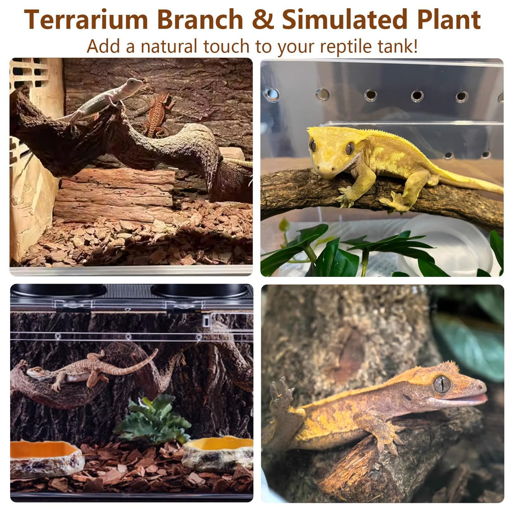 BNOSDM ensemble intégré dans terrarium recréant habitat naturel