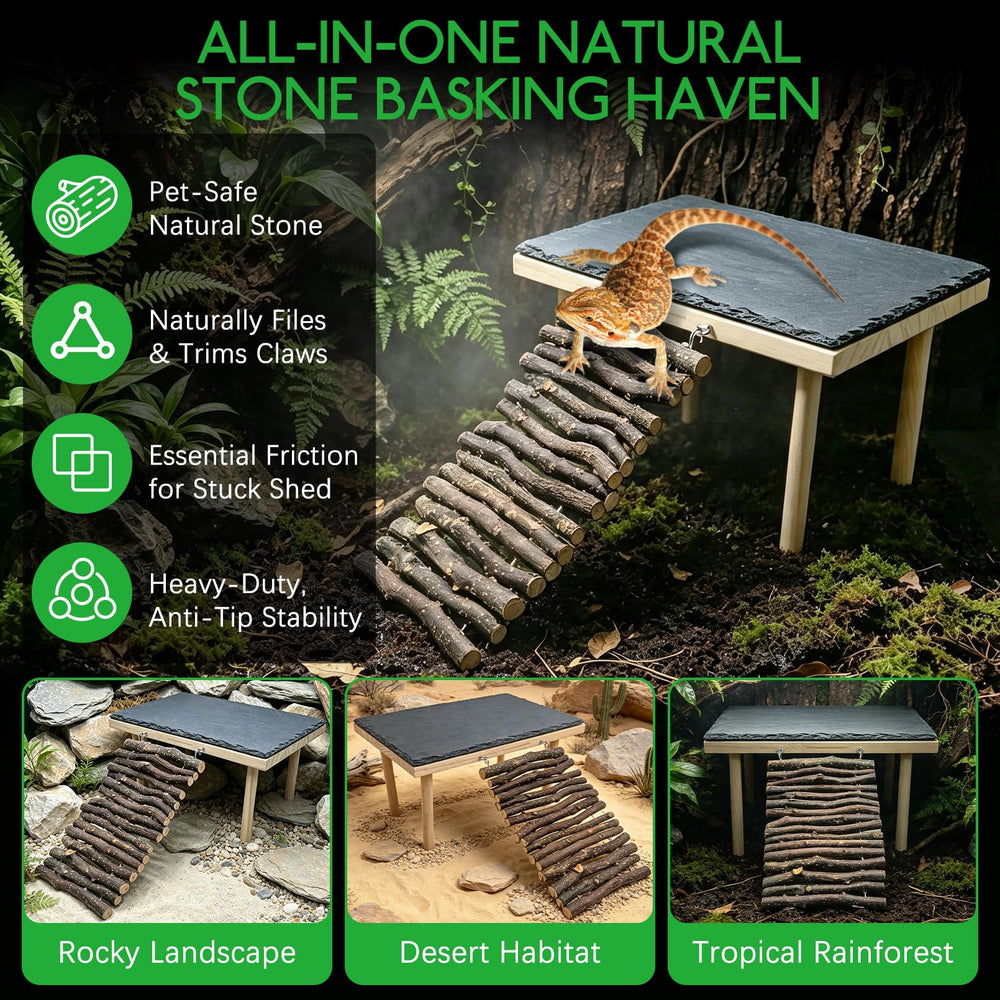 BNOSDM plateforme installée dans un terrarium démontrant intégration facile