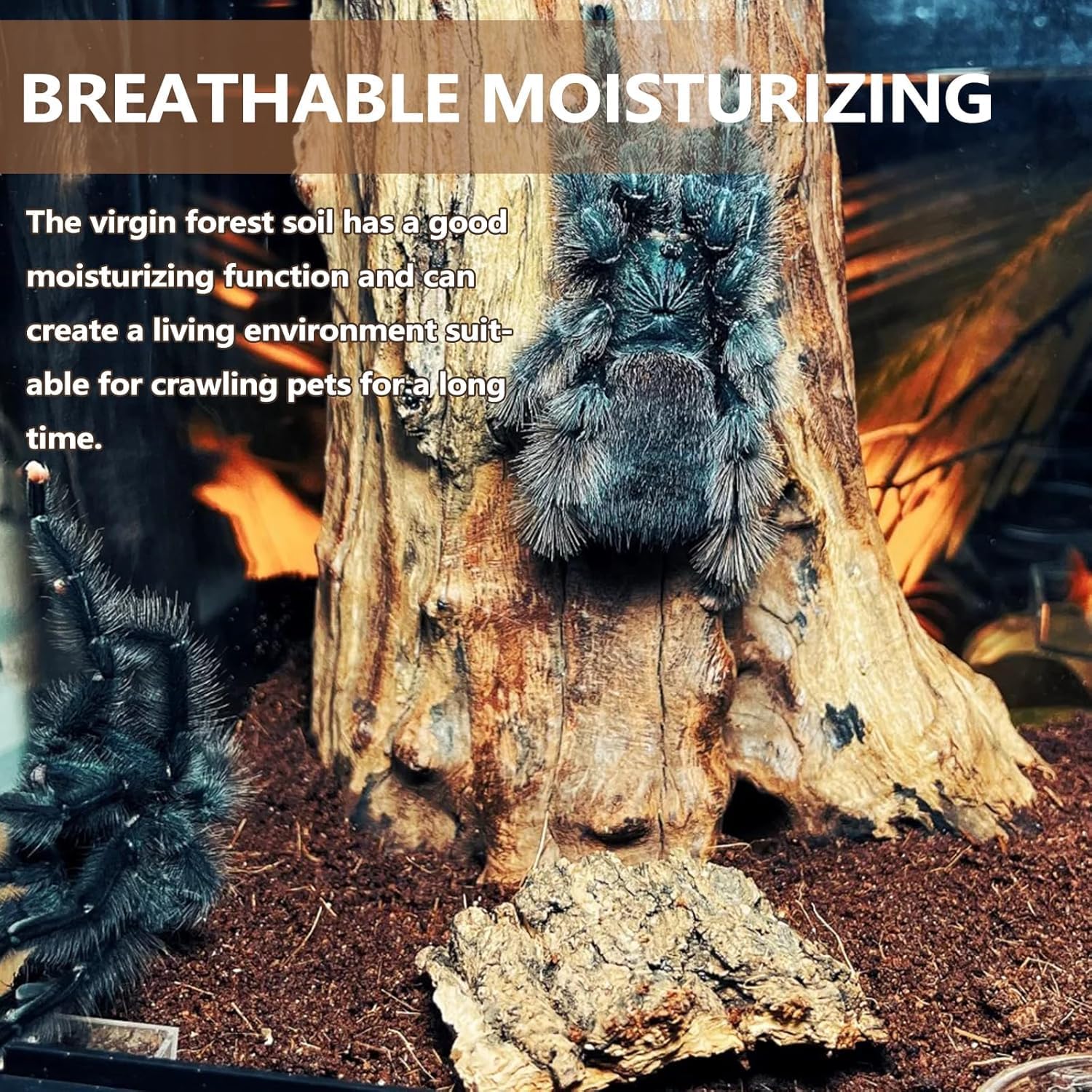 BNOSDM zone d'humidité avec brumisation illustrant rétention d'eau contrôlée