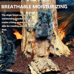 BNOSDM zone d'humidité avec brumisation illustrant rétention d'eau contrôlée