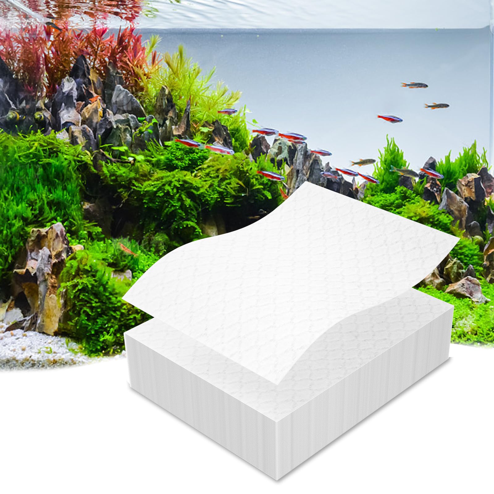 BOATLY emballage avant montrant lot de feuilles et avantages clairs