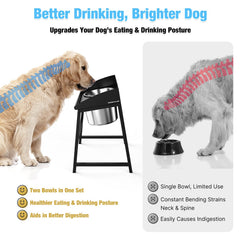 Bobbie & Laxi grand chien utilisant la gamelle confort et posture