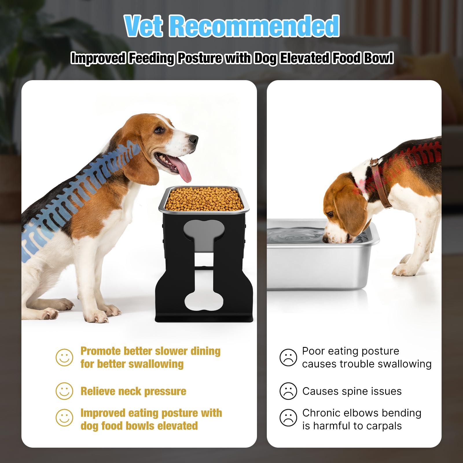 Bobbie & Laxi gros plan du bol inox, hygiène facile et durable