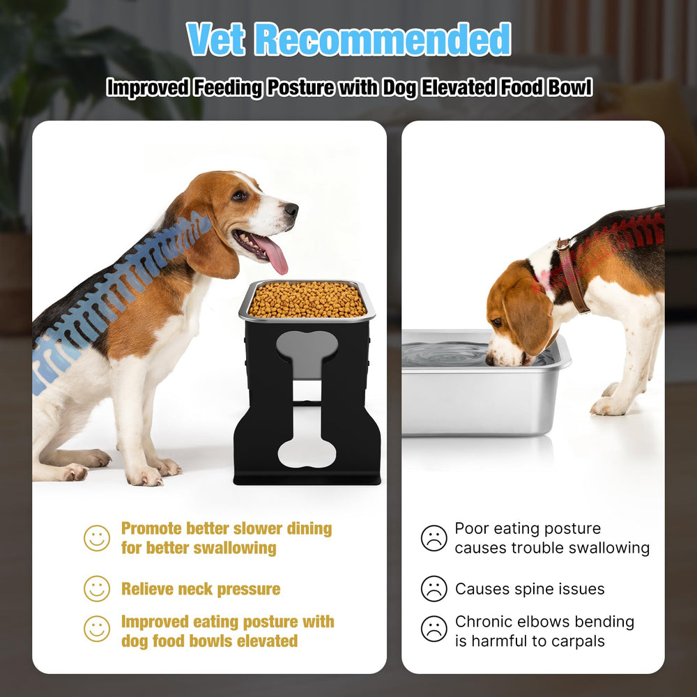 Bobbie & Laxi gros plan du bol inox, hygiène facile et durable