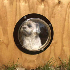bobbypet chien regardant par fenêtre réduisant ennui animal