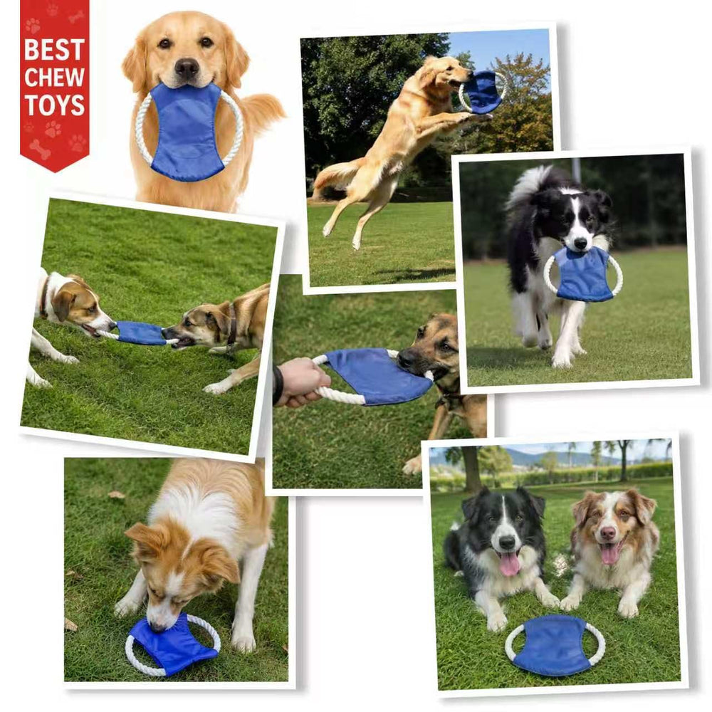 BOBHUI chien attrapant le disque en vol, encourage exercice et rappel