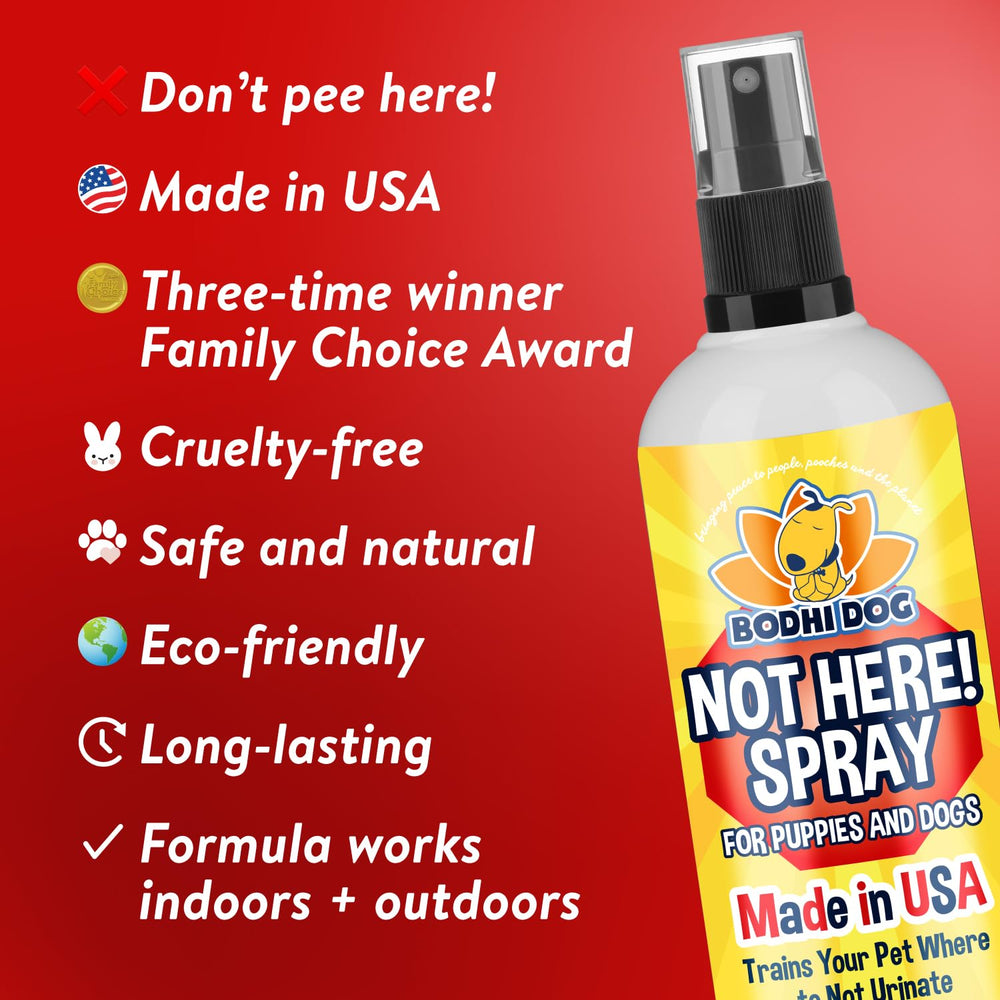 Bodhi Dog spray appliqué sur tapis pour prévenir marquage, protège le sol