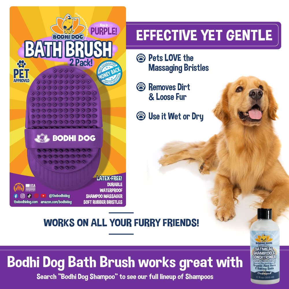Bodhi Dog taille comparative à la main pour visualiser l'échelle pratique