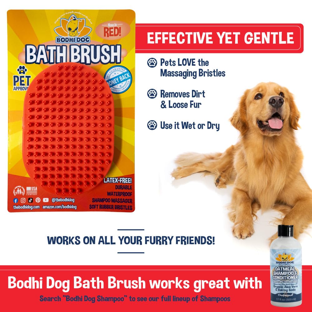Bodhi Dog brosse posée à côté d'une main pour comparer la taille et la prise en main