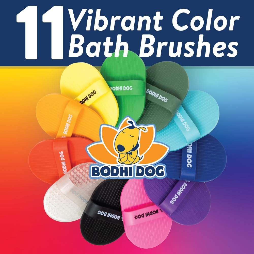 Bodhi Dog brosse à côté d’une main pour comparer la taille et l’adaptabilité