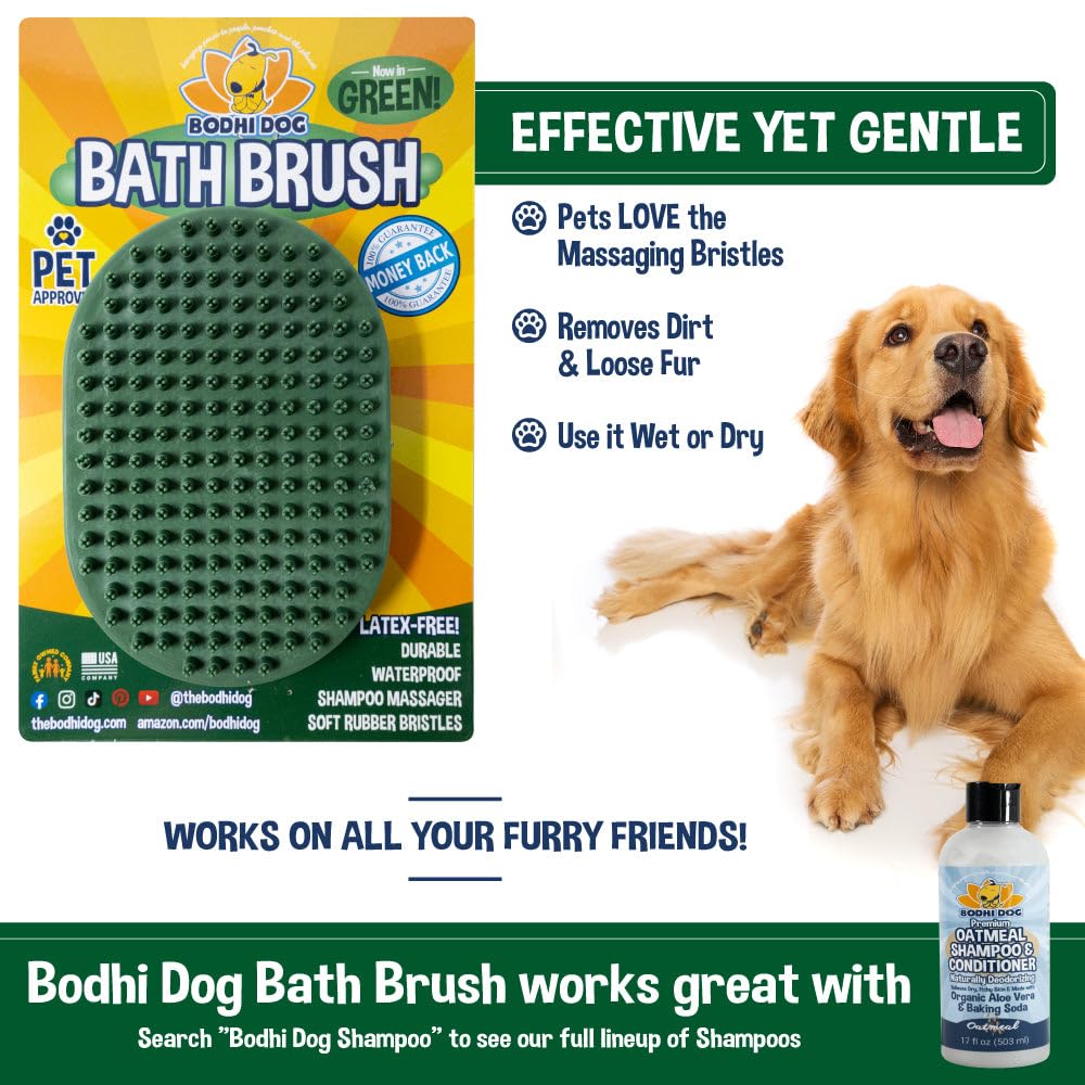 Bodhi Dog brosse à côté d’un objet pour comparer la taille et l’échelle pratique