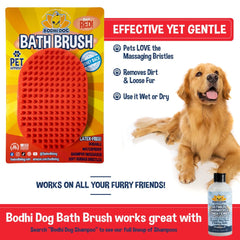 Bodhi Dog brosse posée à côté d'une main pour comparer la taille et la prise en main