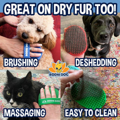 Bodhi Dog brosse tenue en main facilitant le bain et le contrôle pendant l’usage