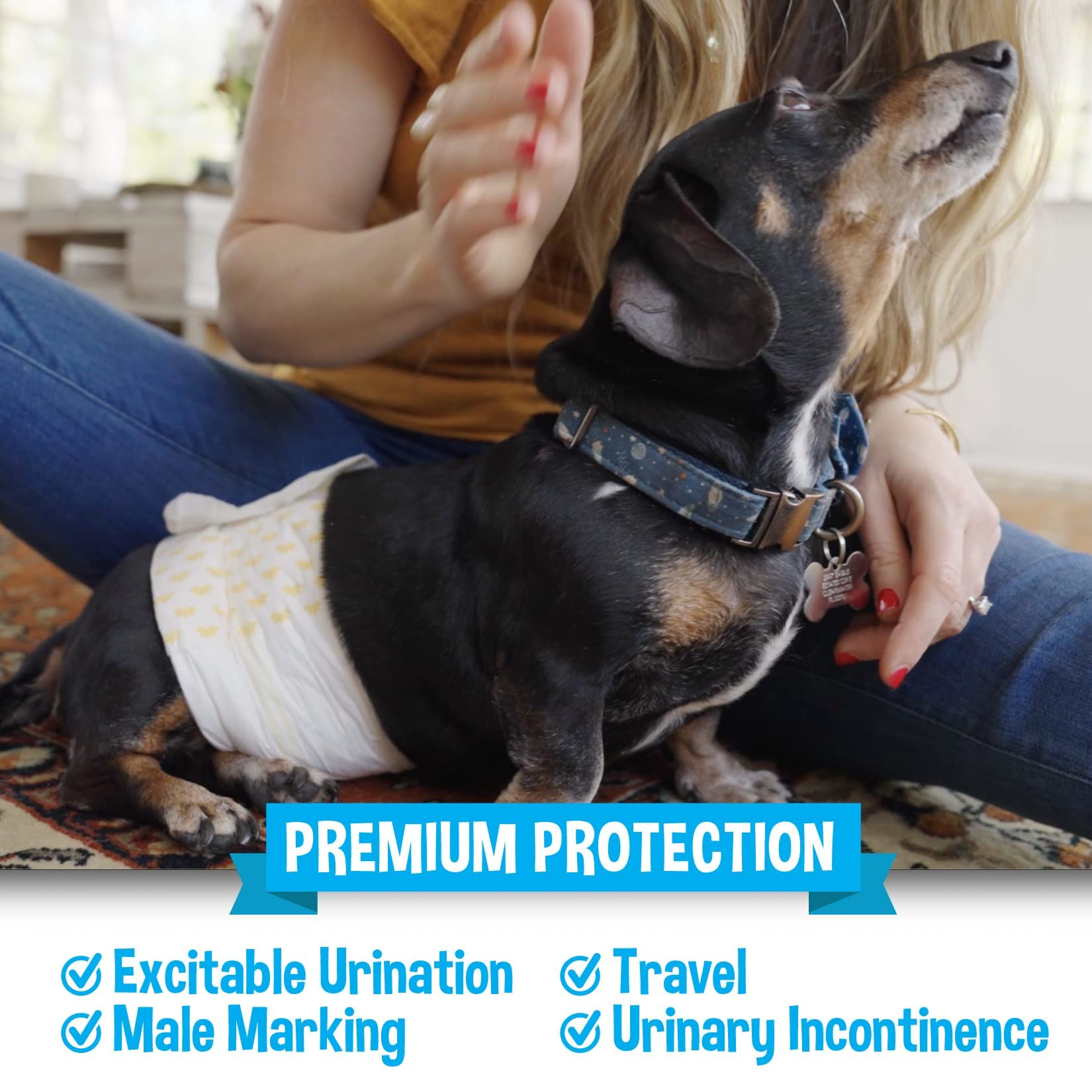 Bodhi Dog sur chien actif pour confort et liberté de mouvement