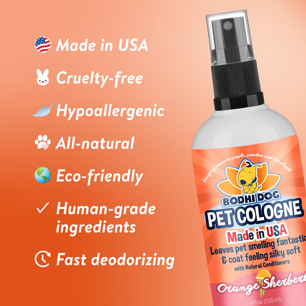 Bodhi Dog flacon 118 ml posé à côté d’un objet pour référence de taille