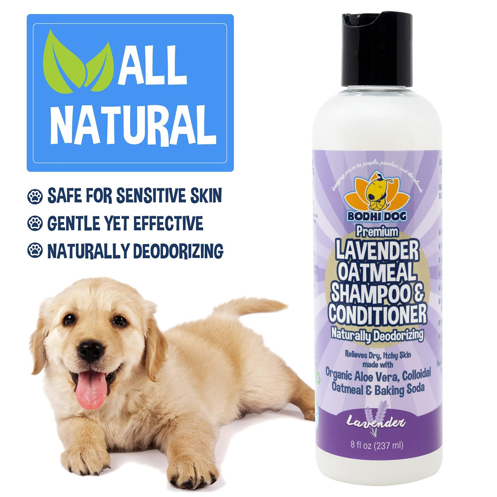Bodhi Dog comparaison taille 237 ml montrant format pratique
